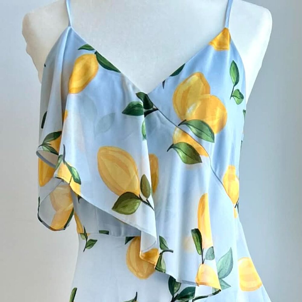 Melanie Lyne Icy Blue Lemon Print Asymmetrical Overlay Chiffon Maxi Dress – US 2